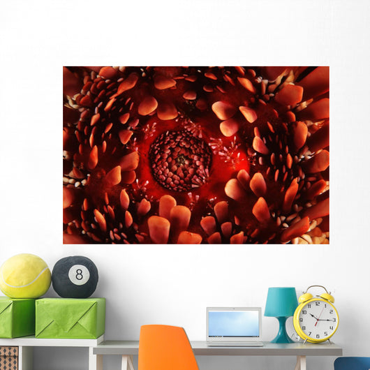 USA up Ventral Side Wall Decal