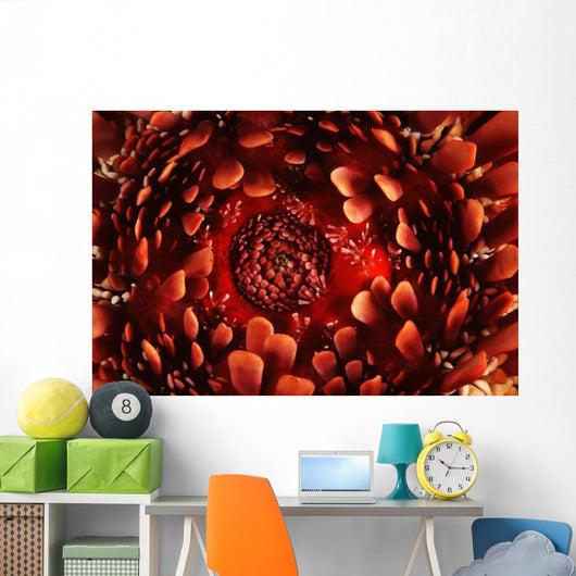 USA up Ventral Side Wall Decal