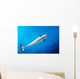 From below Male Narwhal Wall Decal
