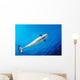 From below Male Narwhal Wall Decal