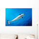 From below Male Narwhal Wall Decal