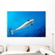 From below Male Narwhal Wall Decal