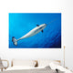 From below Male Narwhal Wall Decal