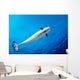 From below Male Narwhal Wall Decal