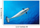 From below Male Narwhal Wall Decal