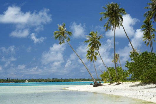 French Polynesia Tahiti Lagoon Wall Decal Design 3