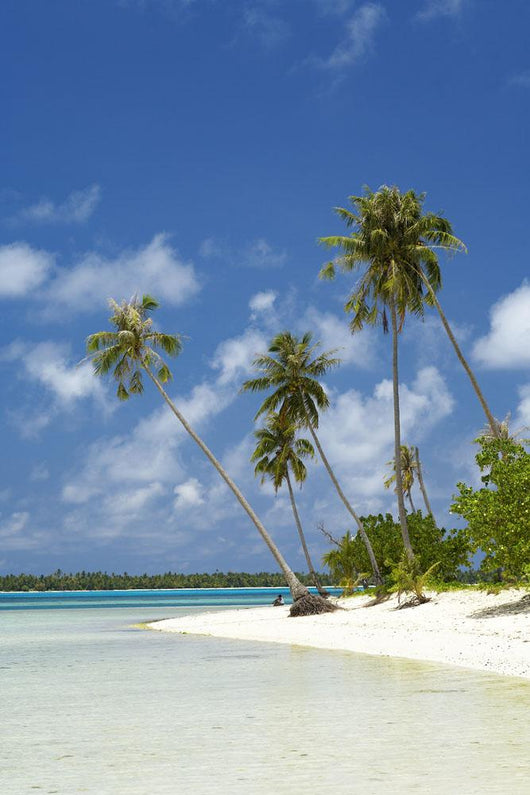 French Polynesia Tahiti Lagoon Wall Decal Design 2