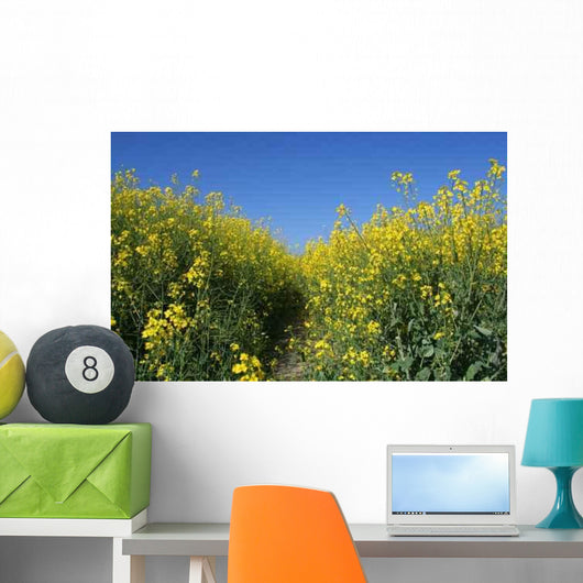 Canola Field Wall Decal