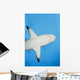 Micronesia Grey Reef Shark Wall Decal