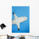 Micronesia Grey Reef Shark Wall Decal