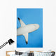 Micronesia Grey Reef Shark Wall Decal