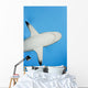 Micronesia Grey Reef Shark Wall Decal