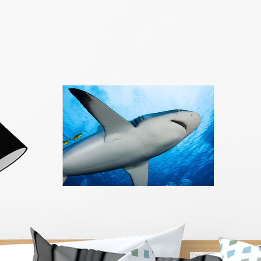 Micronesia Wall Decal