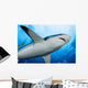 Micronesia Wall Decal