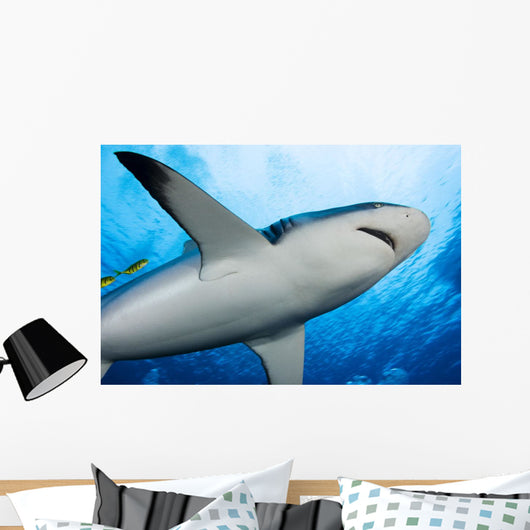 Micronesia Wall Decal