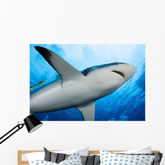 Micronesia Wall Decal