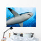 Micronesia Wall Decal
