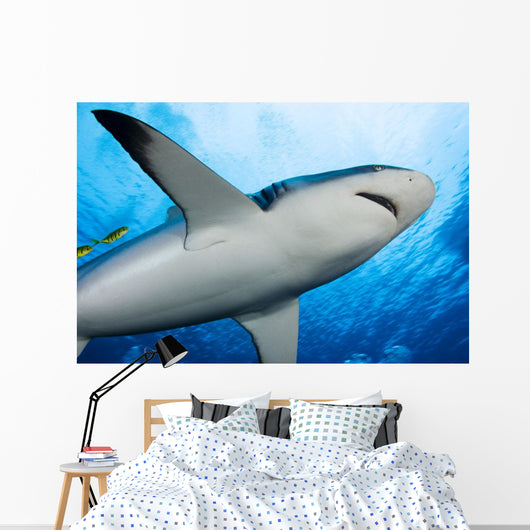 Micronesia Wall Decal