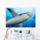 Micronesia Wall Decal