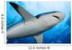 Micronesia Wall Decal