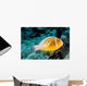 USA Bright Orange Anemone Wall Decal