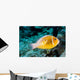 USA Bright Orange Anemone Wall Decal