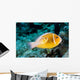 USA Bright Orange Anemone Wall Decal