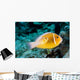 USA Bright Orange Anemone Wall Decal