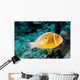 USA Bright Orange Anemone Wall Decal