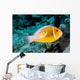 USA Bright Orange Anemone Wall Decal