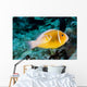 USA Bright Orange Anemone Wall Decal