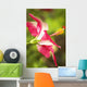 French Polynesia Tahiti Maupiti Wall Decal Design 1