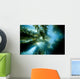 USA California Sunlight Streaming Wall Decal Design 2