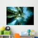 USA California Sunlight Streaming Wall Decal Design 2