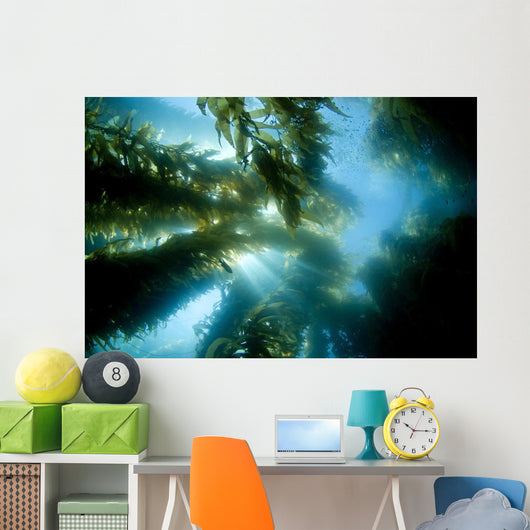 USA California Sunlight Streaming Wall Decal Design 2