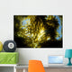 USA California Sunlight Streaming Wall Decal Design 1