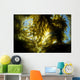 USA California Sunlight Streaming Wall Decal Design 1