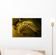 USA California Channel Islands Wall Decal