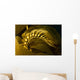 USA California Channel Islands Wall Decal