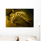 USA California Channel Islands Wall Decal