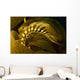 USA California Channel Islands Wall Decal