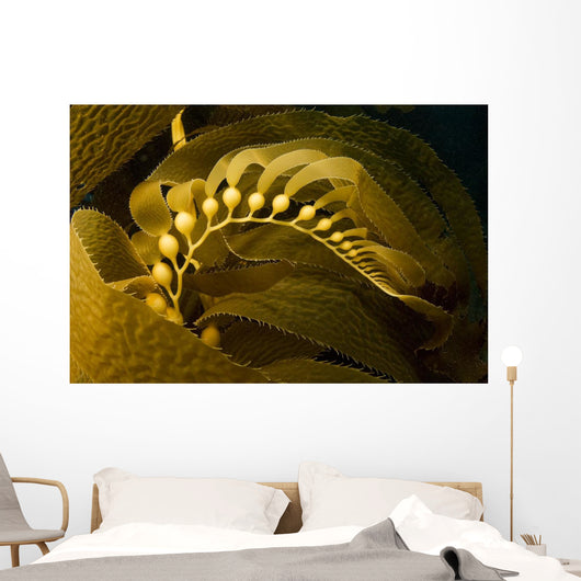 USA California Channel Islands Wall Decal