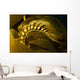 USA California Channel Islands Wall Decal