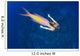 Mermaid Swimming Ocean Wall Decal