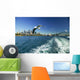 Australia Sydney Harbor from Wall Decal