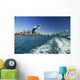 Australia Sydney Harbor from Wall Decal