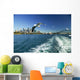 Australia Sydney Harbor from Wall Decal