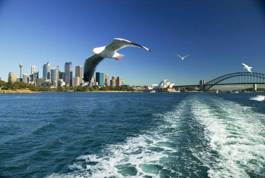 Australia Sydney Harbor from Wall Decal