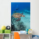 USA Green Sea Turtle Wall Decal