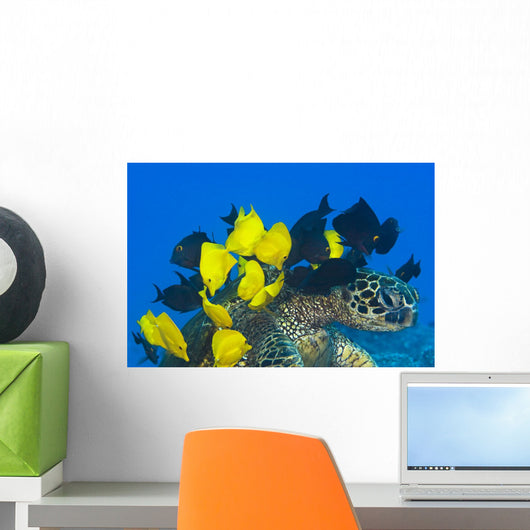 Goldring Surgeonfish and Yellow Wall Decal